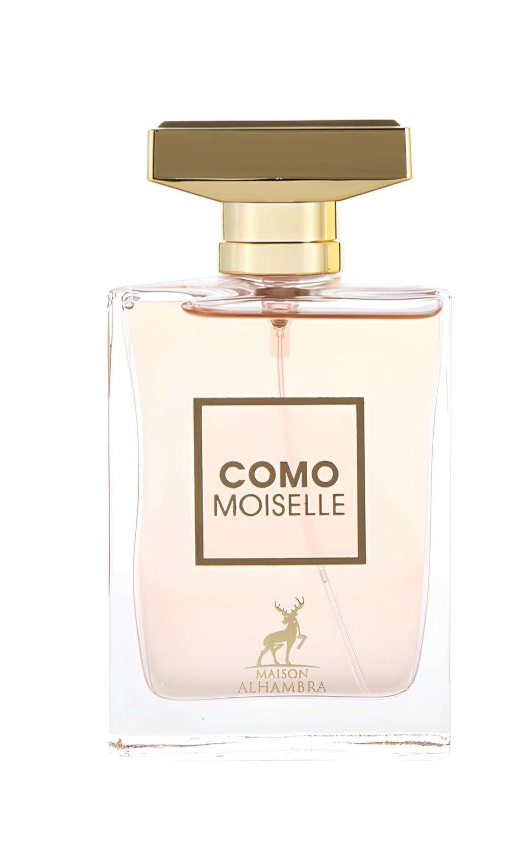 COMO MOISELLE - الصورة 4